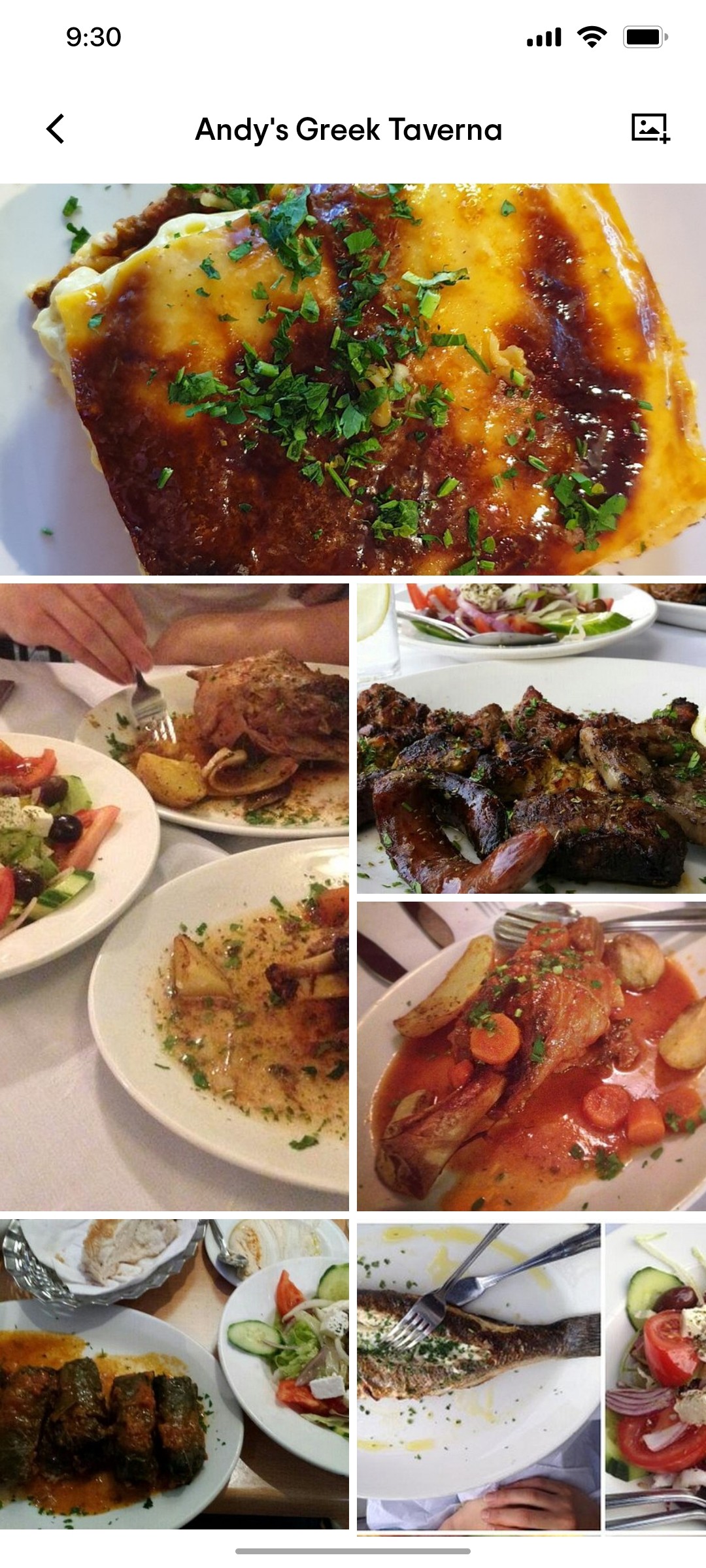 Tripadvisor Categories Page Screen