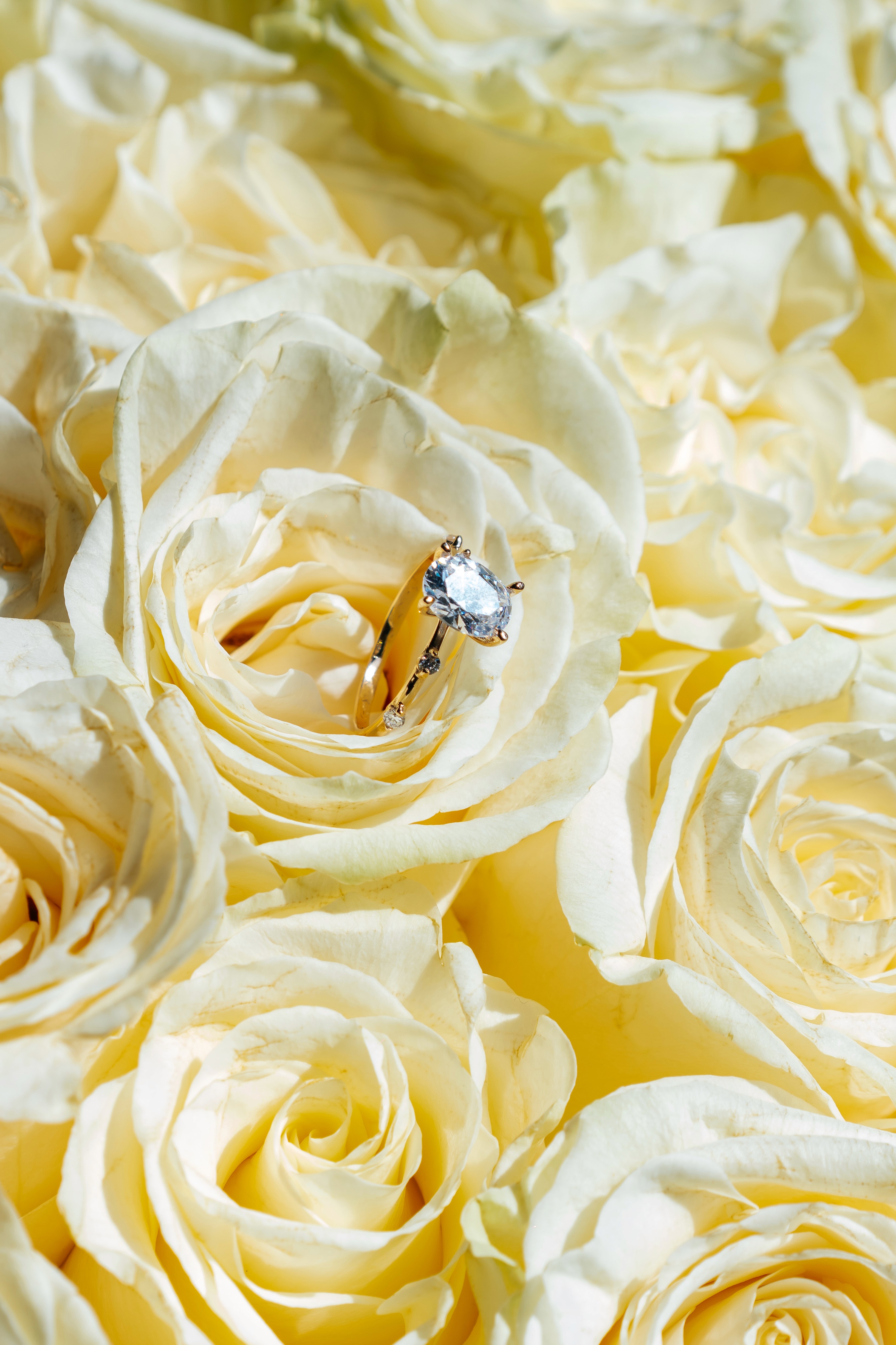 lady outdoor photo shoot pose