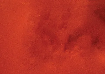 Metallic Color Samples - Copper