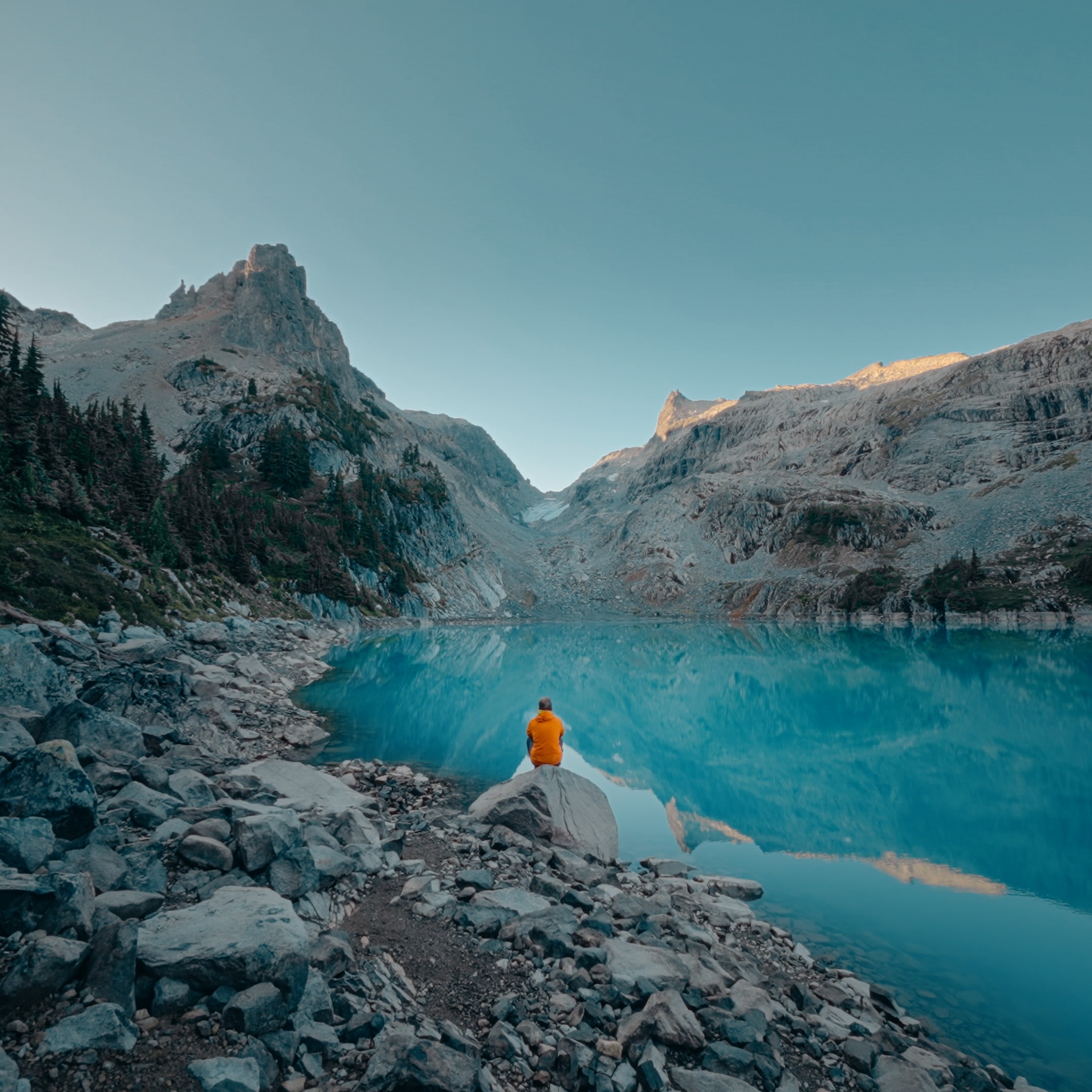 Portrait Of Shane Hanlon