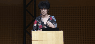 A speaker delivering a presentation at the conference.