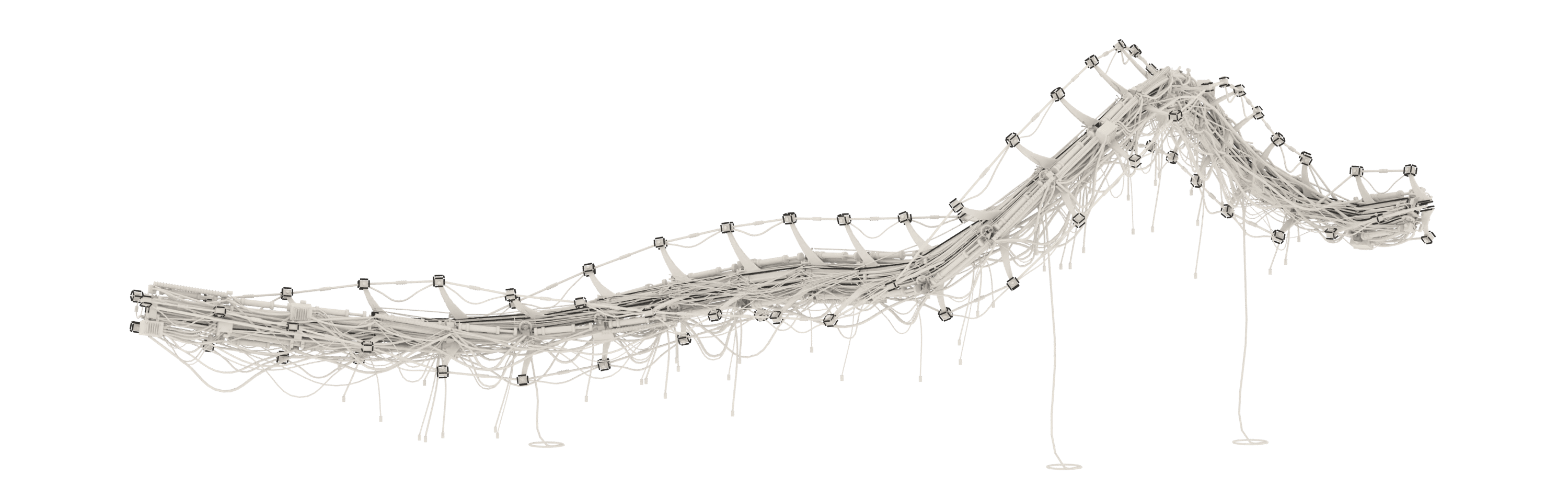 Monoconda sculptural spine: charcoal contours over a pale shaded side view from the original Blender model, with the architecture omitted.