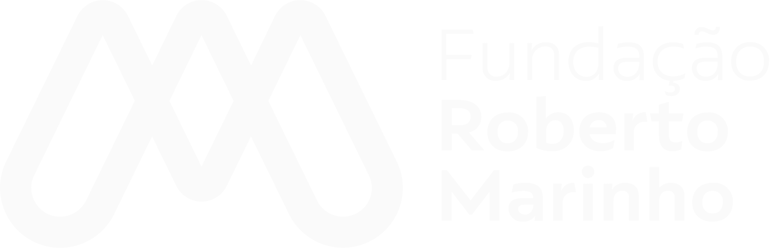 logo da fundação roberto marinho