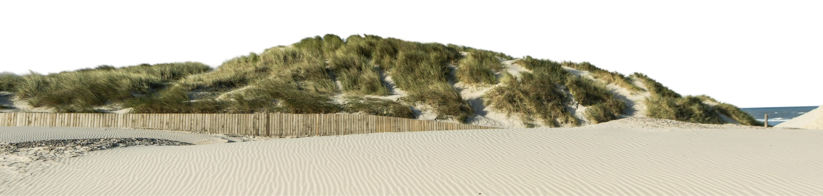 Eine Düne direkt an der Nordseeküste