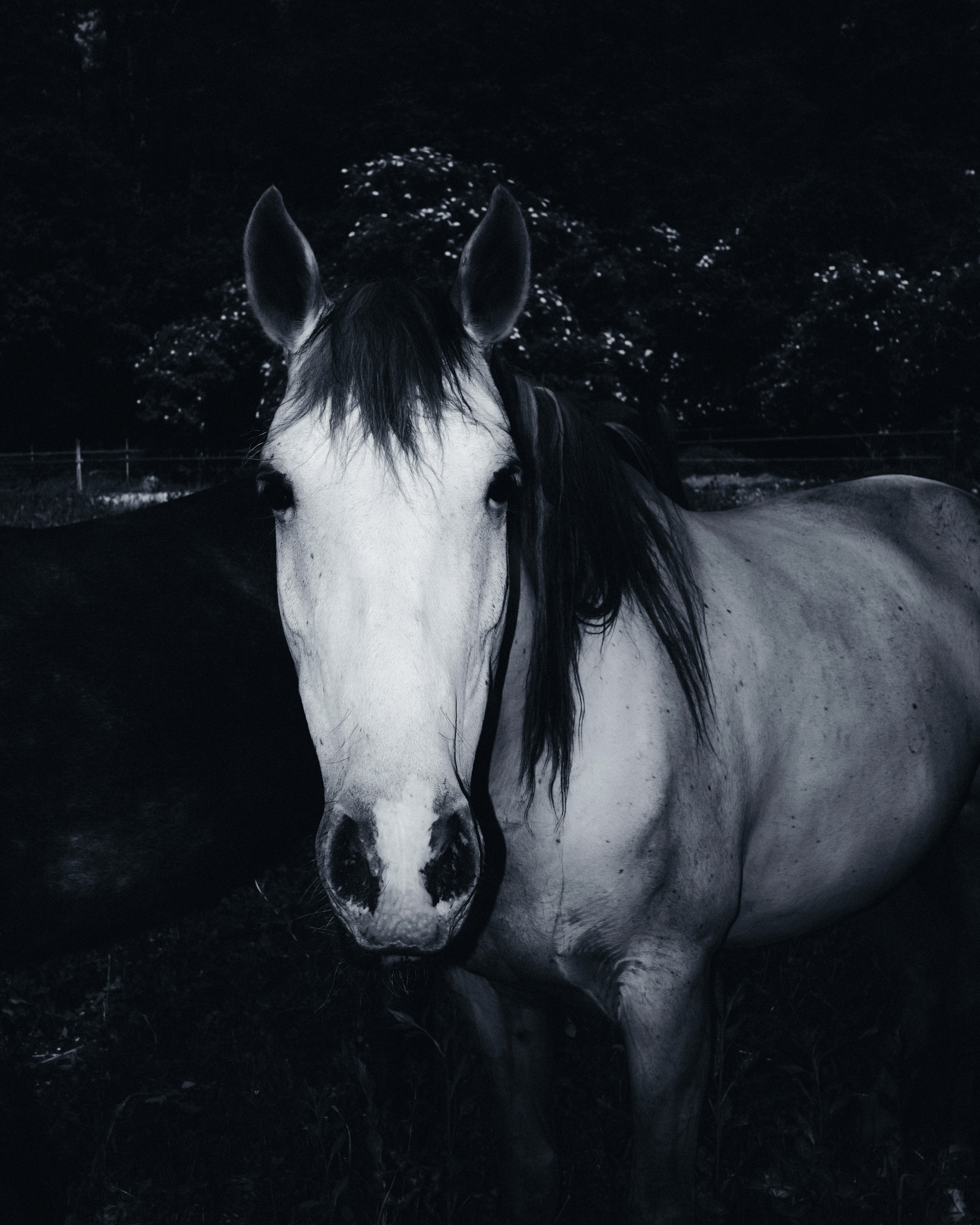 Diary photo 14