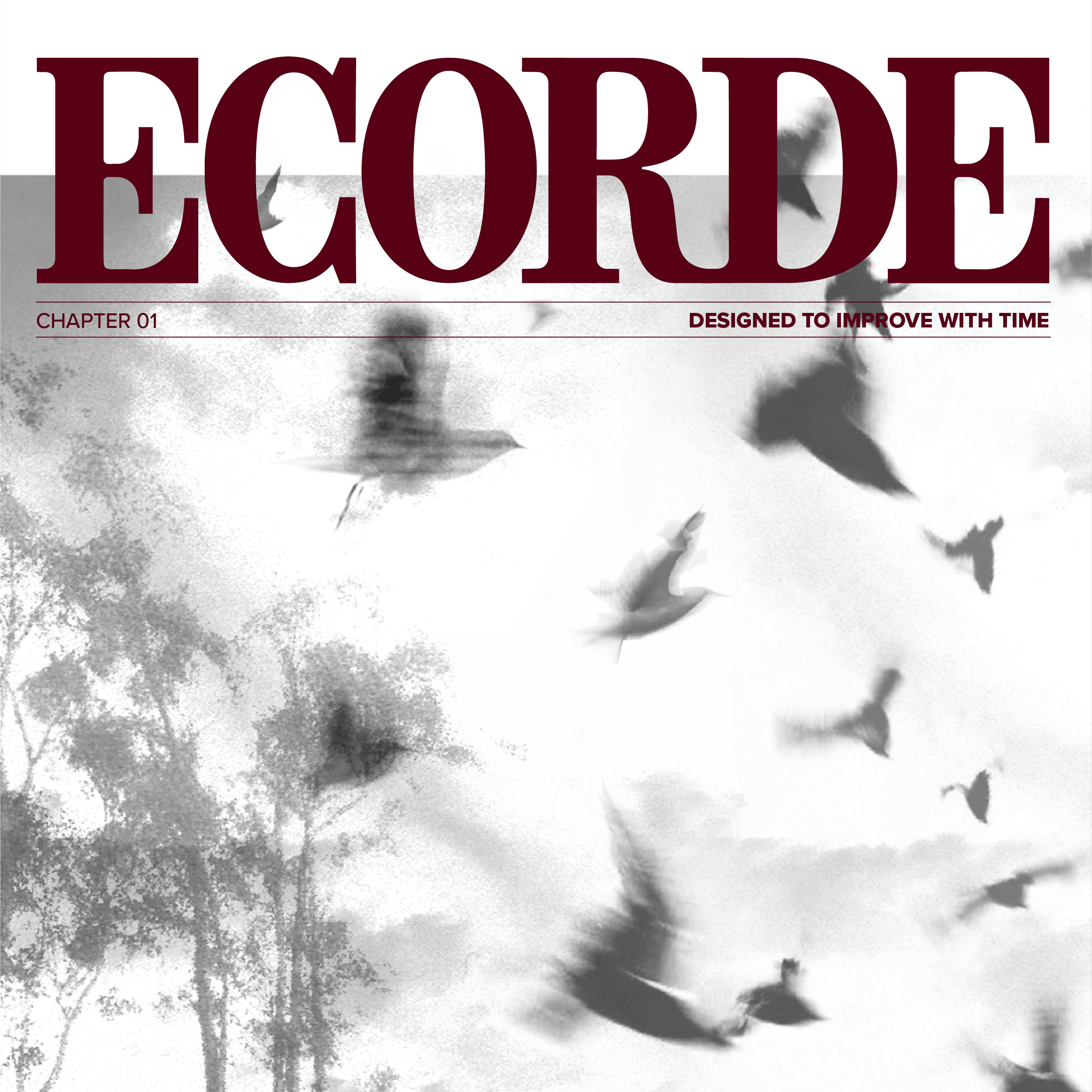 ECORDE Chapter 01 campaign artwork