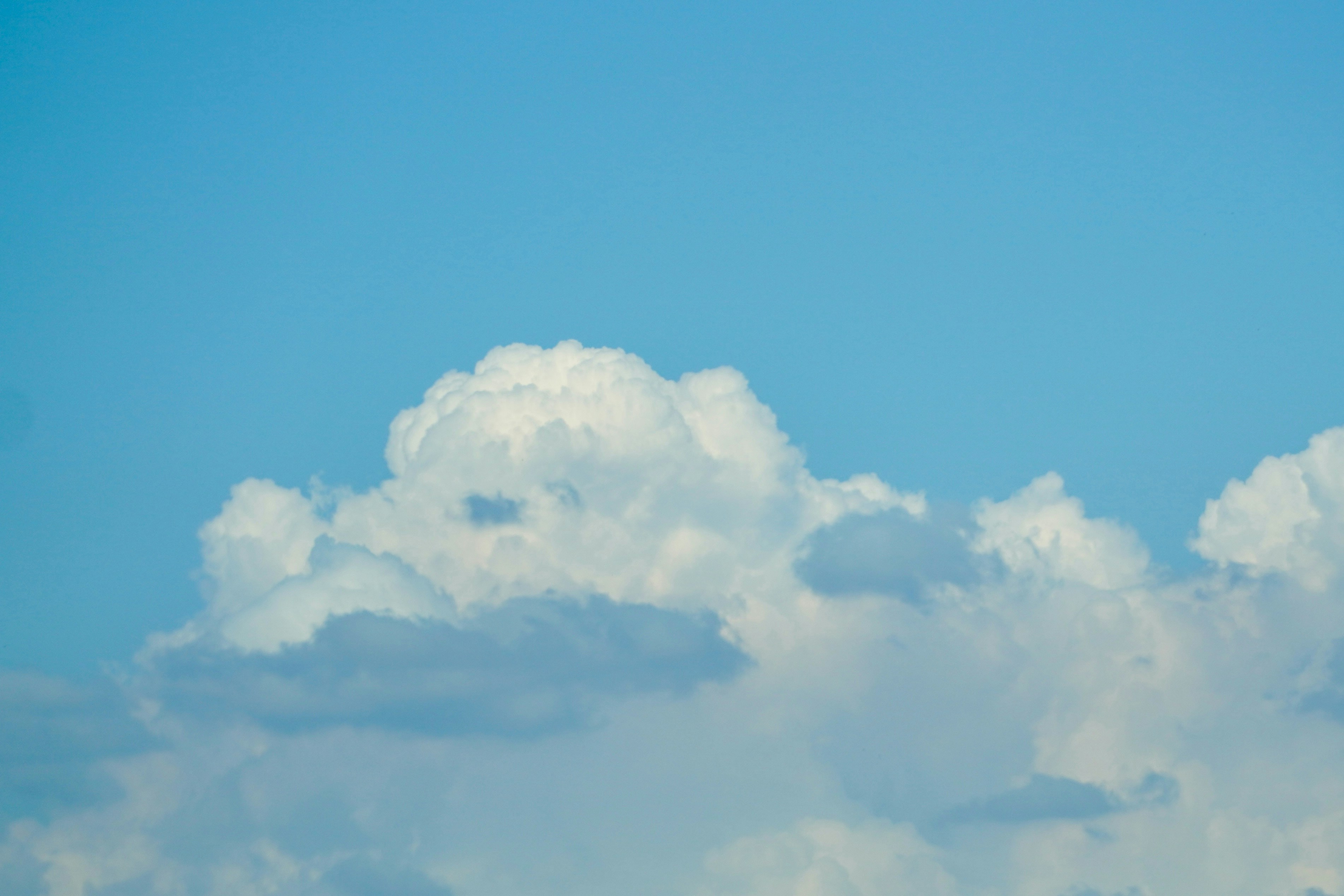 No More Guesswork: Using "Digital Breadcrumbs" to Plan Your Next Business Expansion