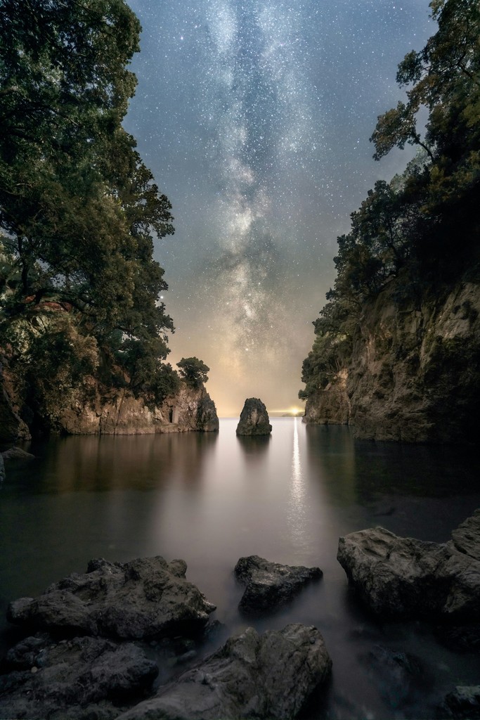 A body of water surrounded by trees with the milky way above