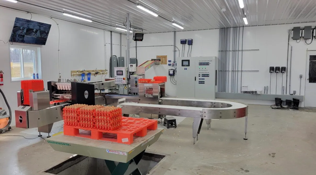 Conveyors & production lines