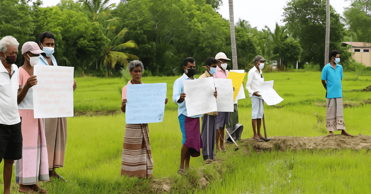 Farmers take to the streets, saying prices and budget are unfair