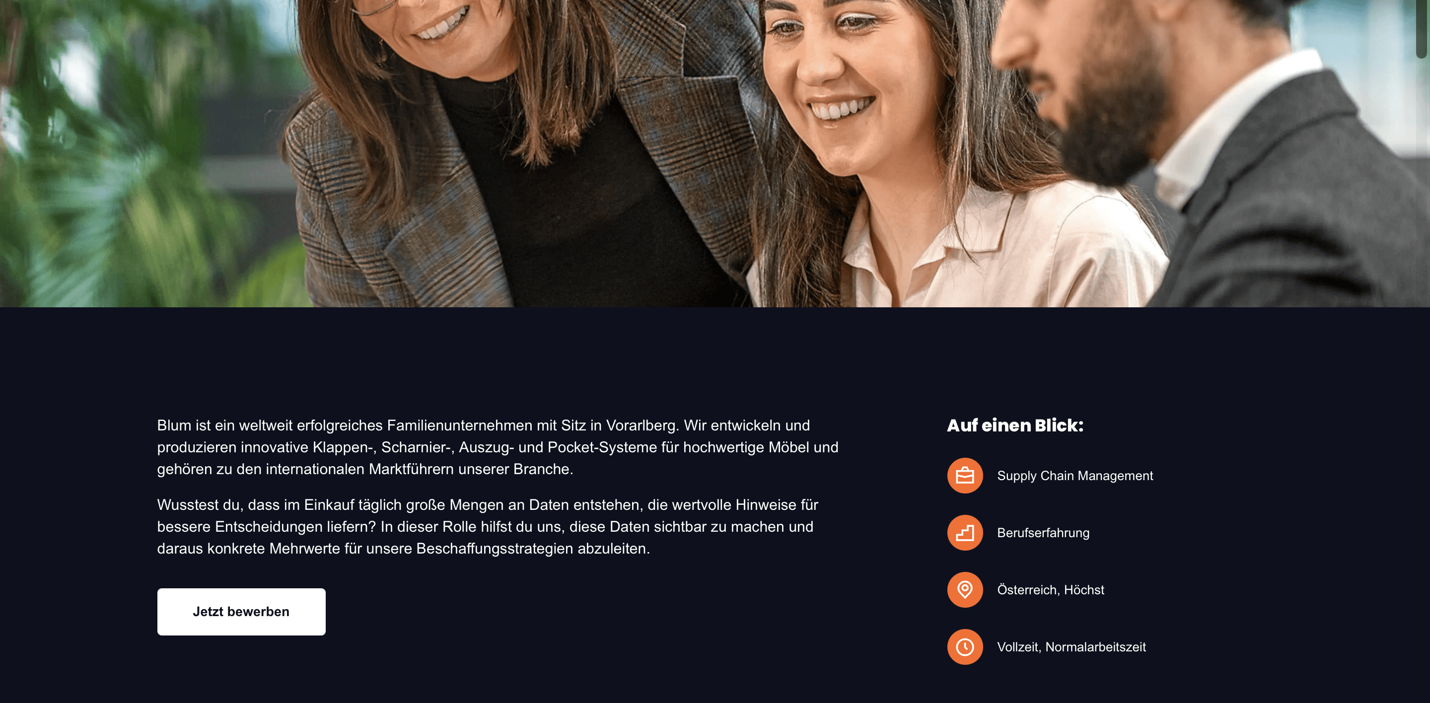 Icons für die Fakten einer ausgeschriebenen Stelle bei Blum. Diese sind TätigkeitsbereichBerufserfahrung, Standort und Zeitmodell.