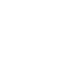 Why Choose Icon