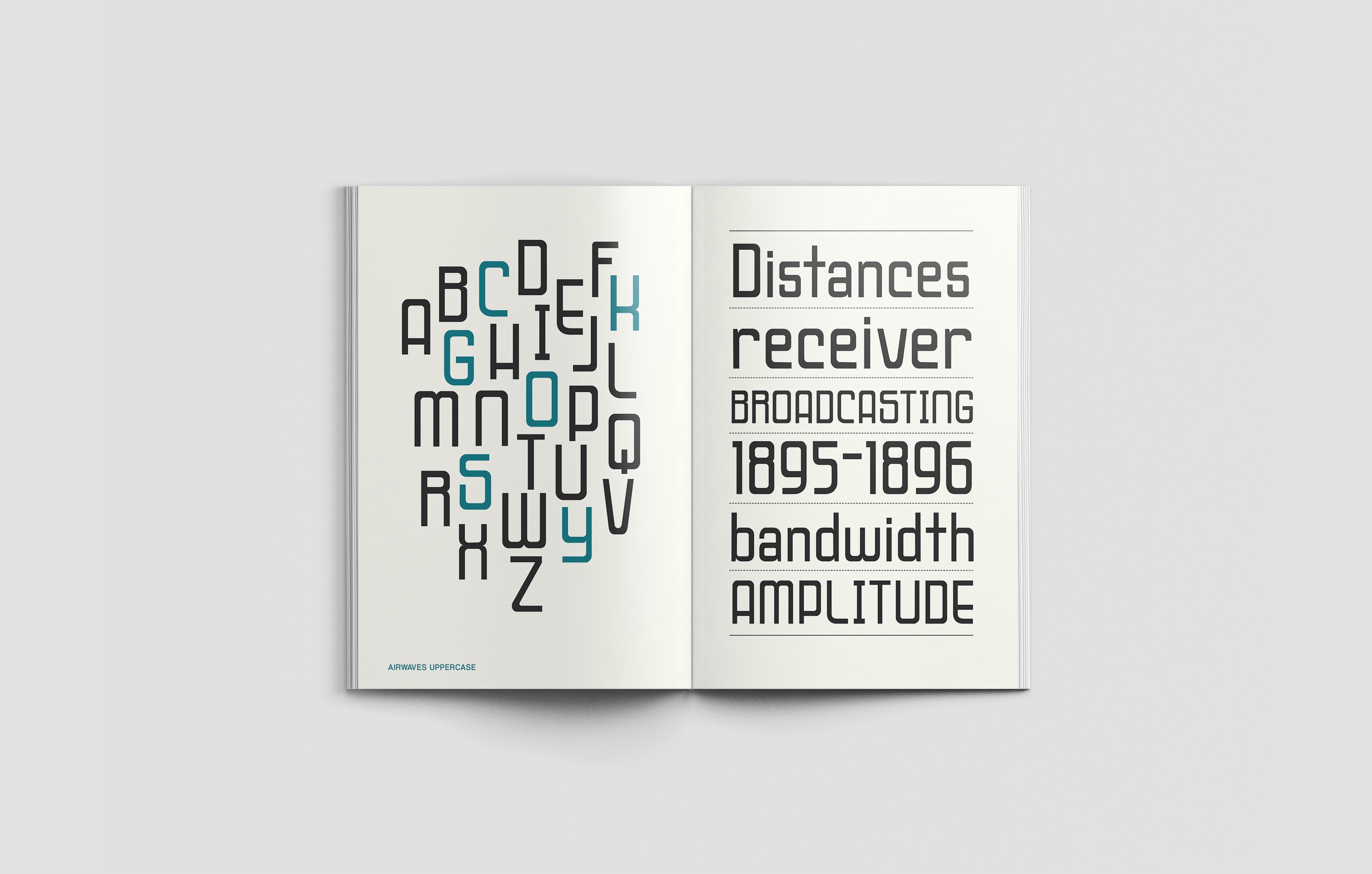 Large Project Gallery Image #1