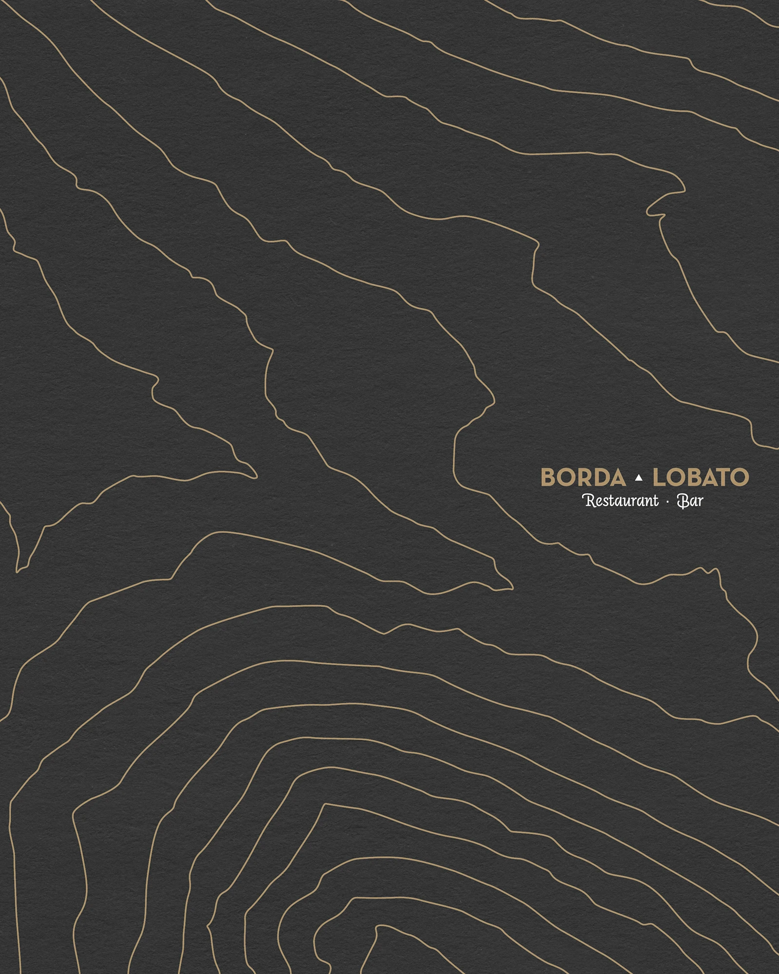 Borda Lobato logo over a dark topographic line pattern, brand identity design by Sebastian Saavedra