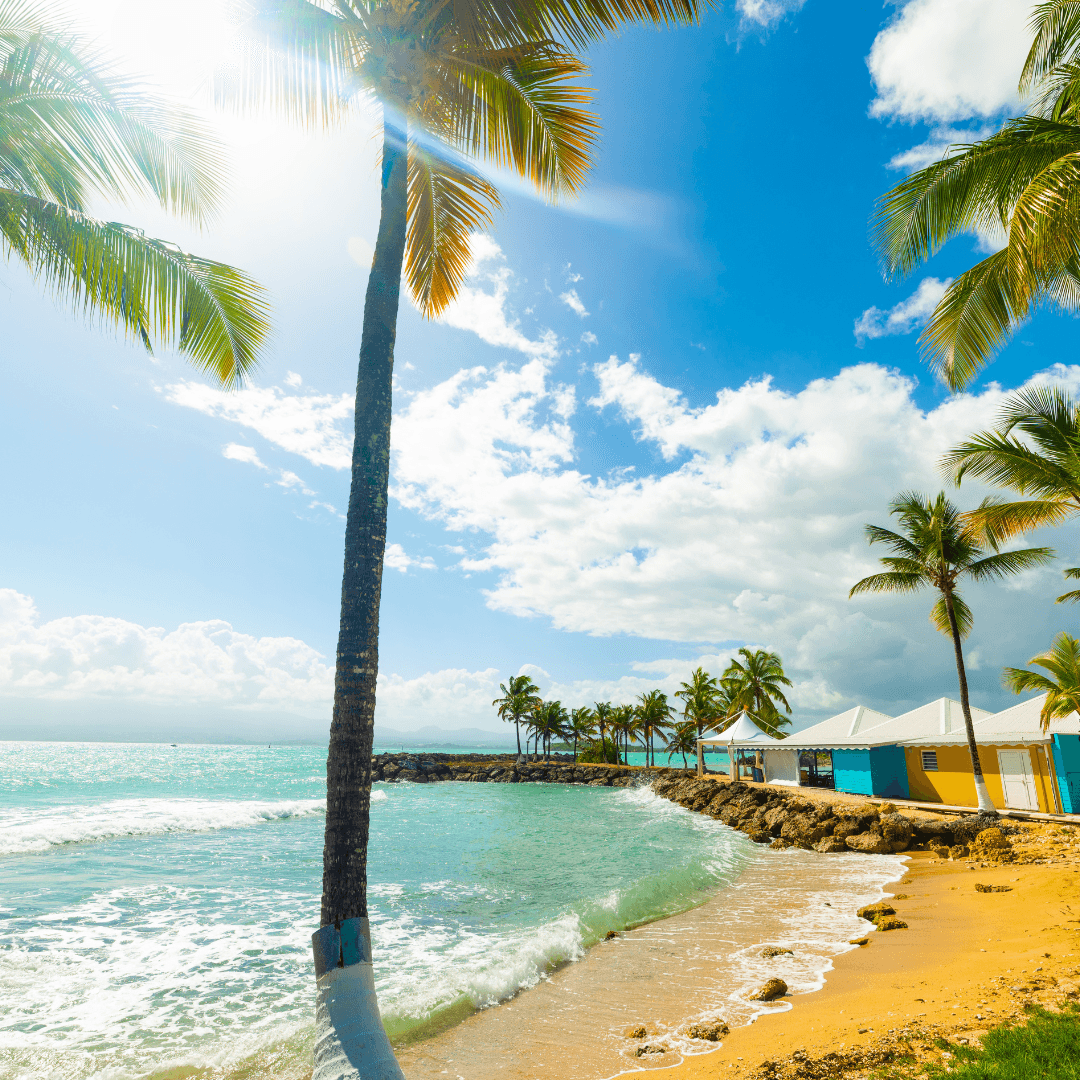 Plage tropicale bordée de cocotiers et mer turquoise, décor naturel vibrant propice au reset mental
