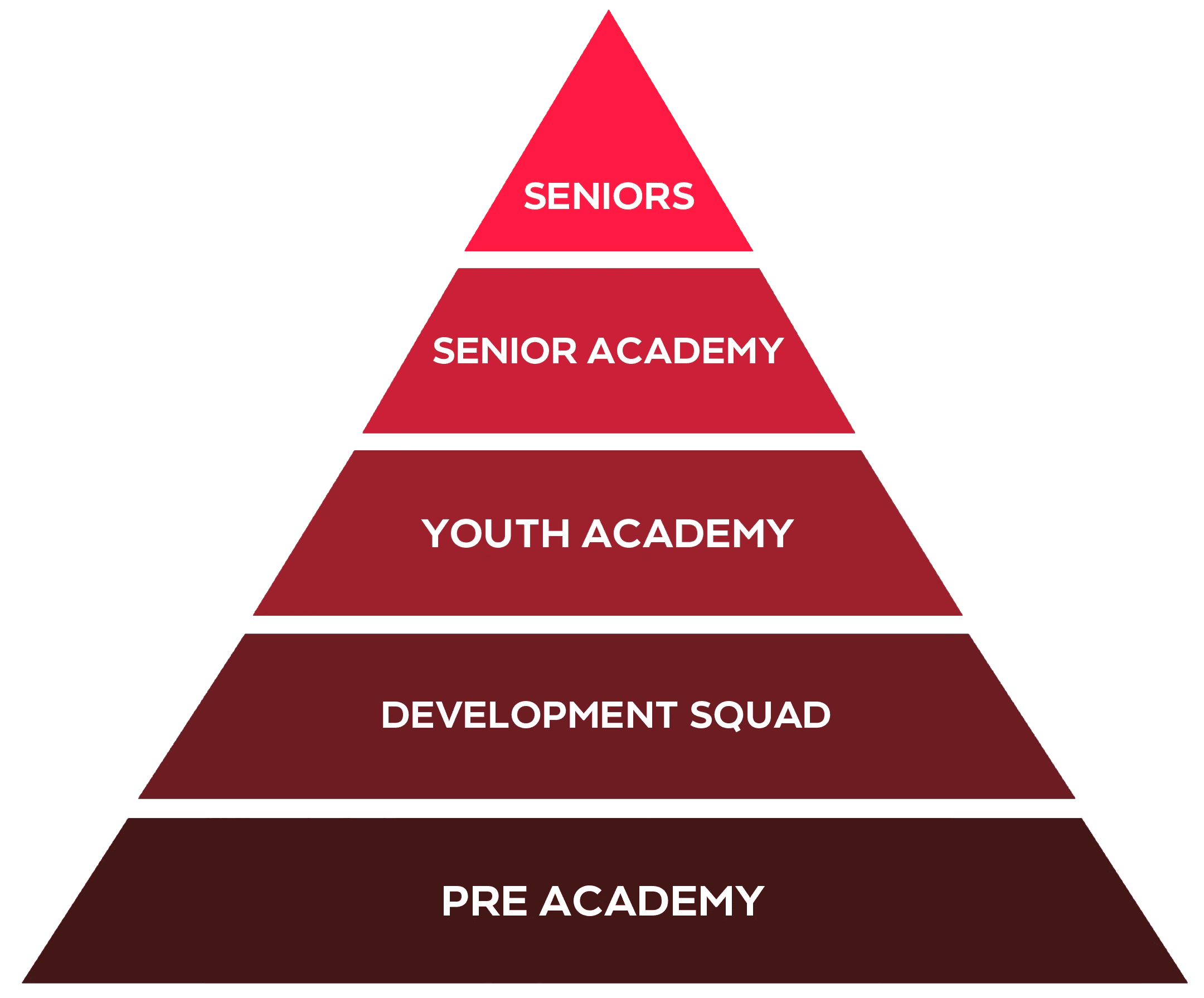 An overhead photo of North Geelong Warrior's home ground, Elcho Park.