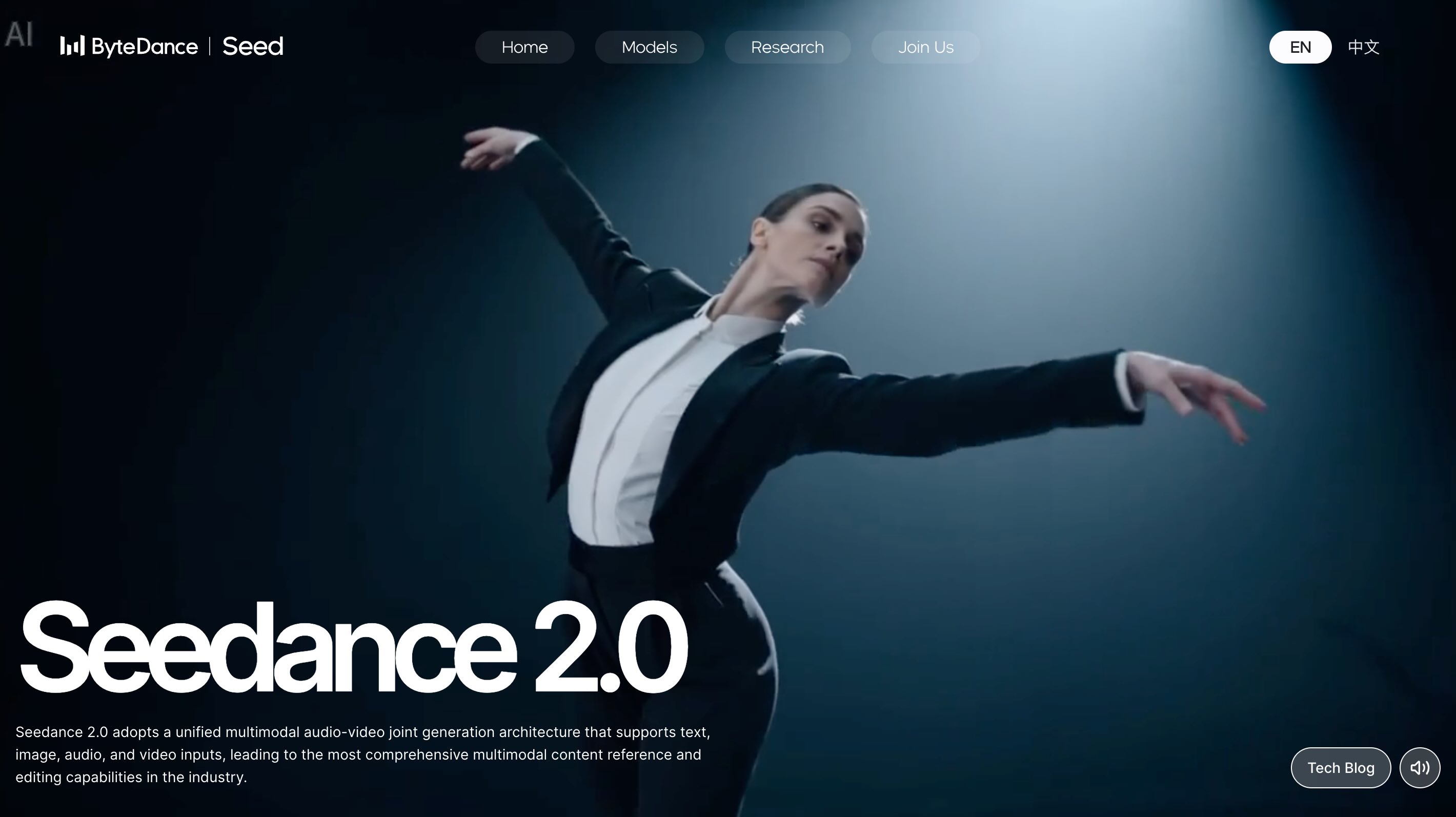 Seedance 2 interface