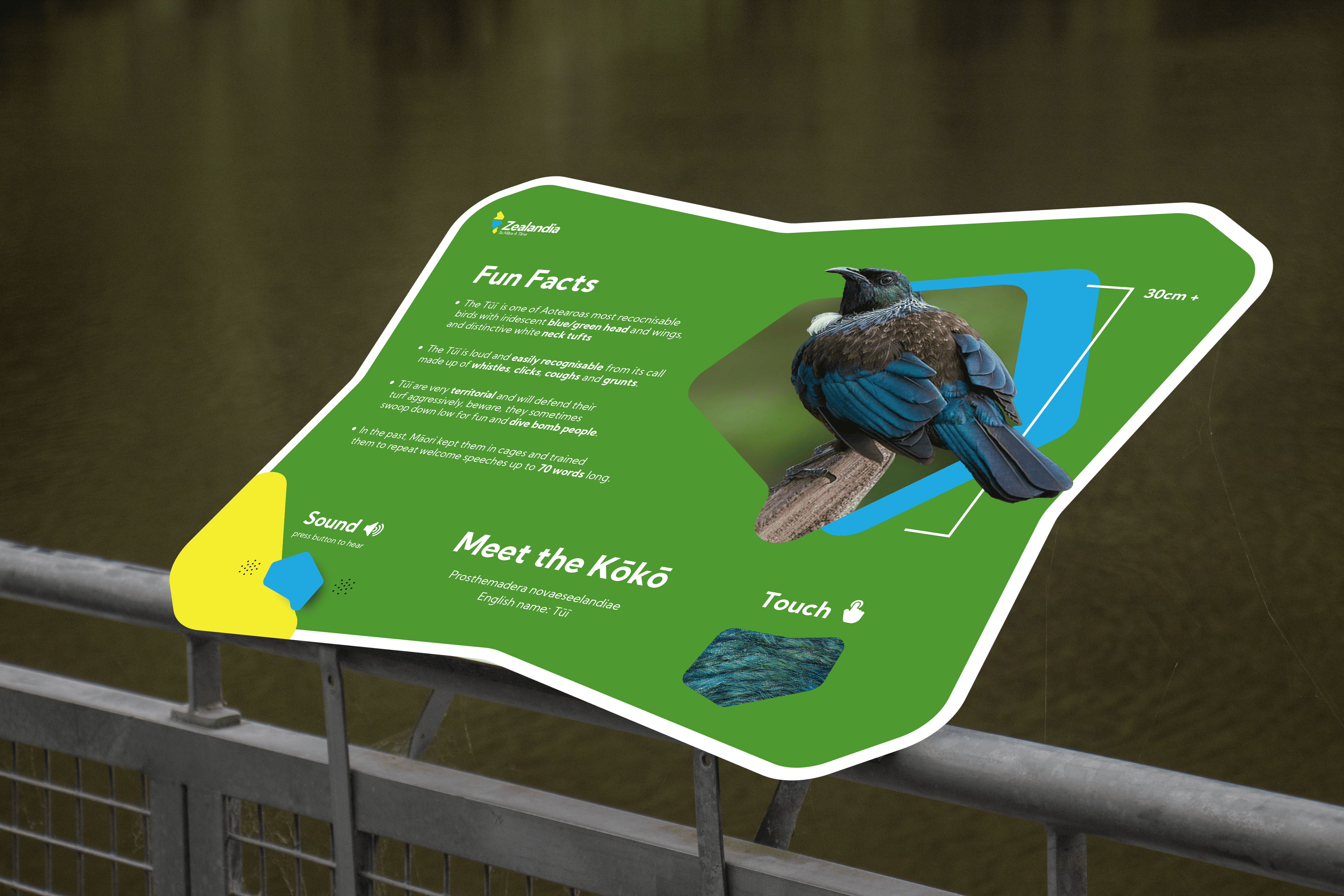 Top view of coffee can mockup with bold black typography on white background