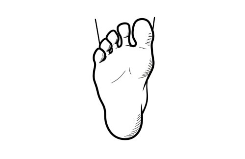 bottom of a foot vector graphic