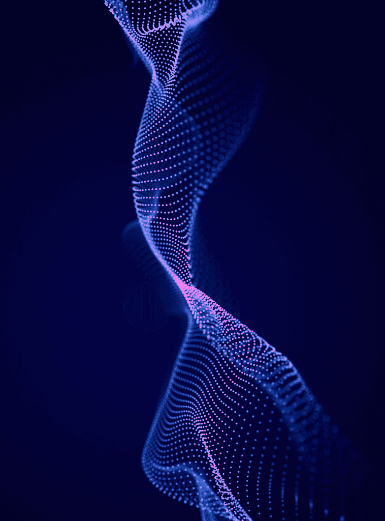 Network