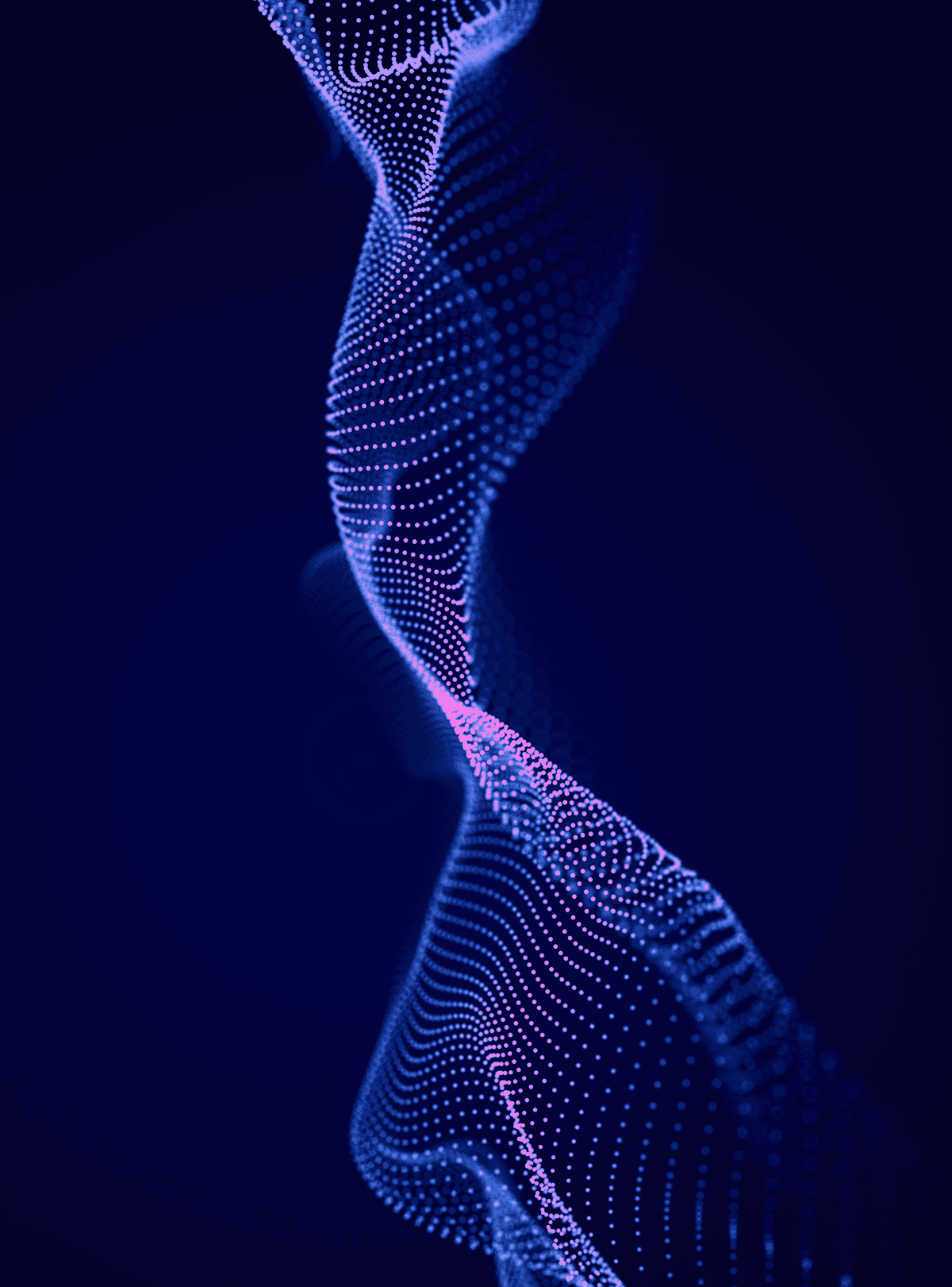 Network