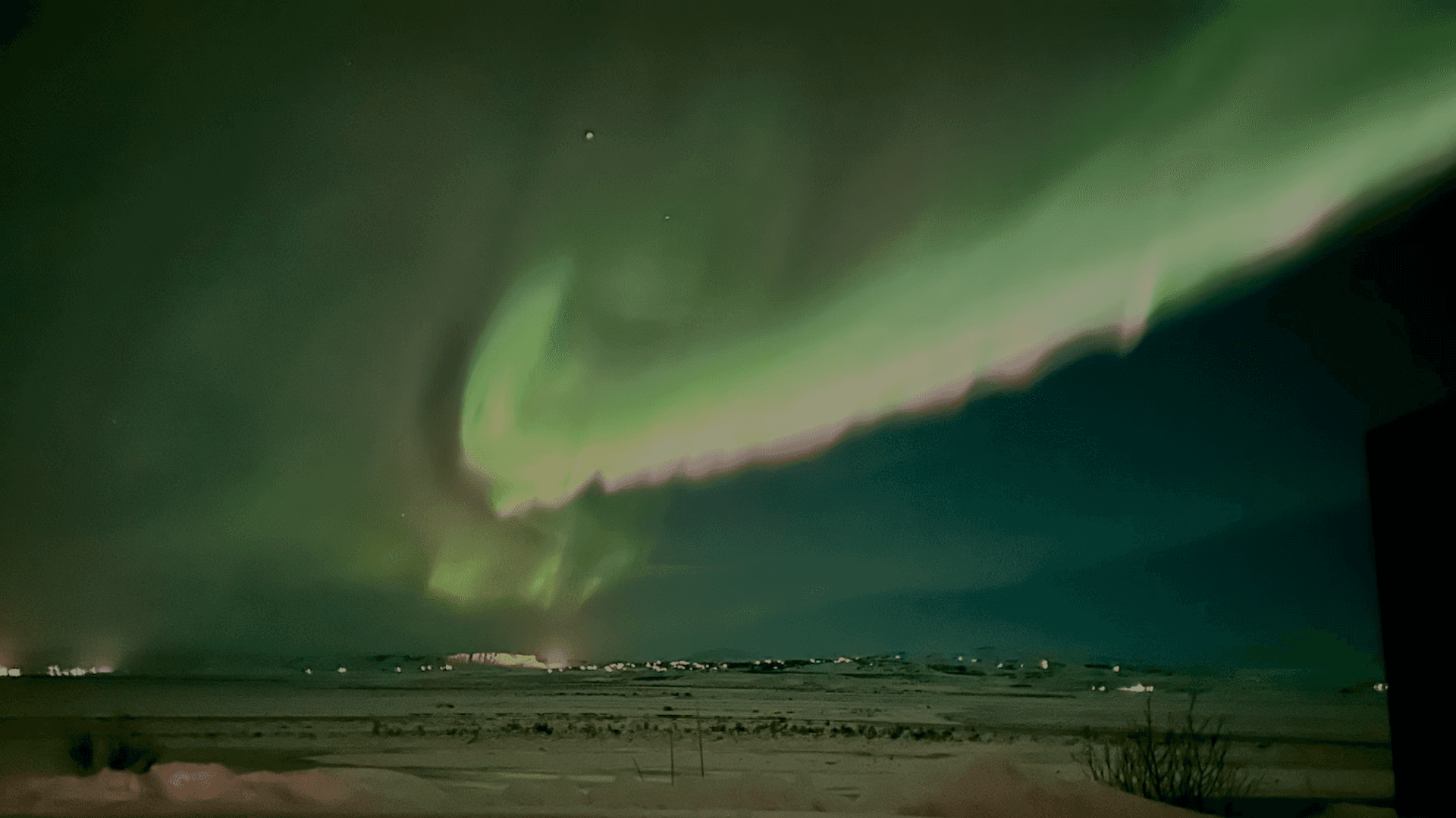 a crowd of people watching a fireworks display
