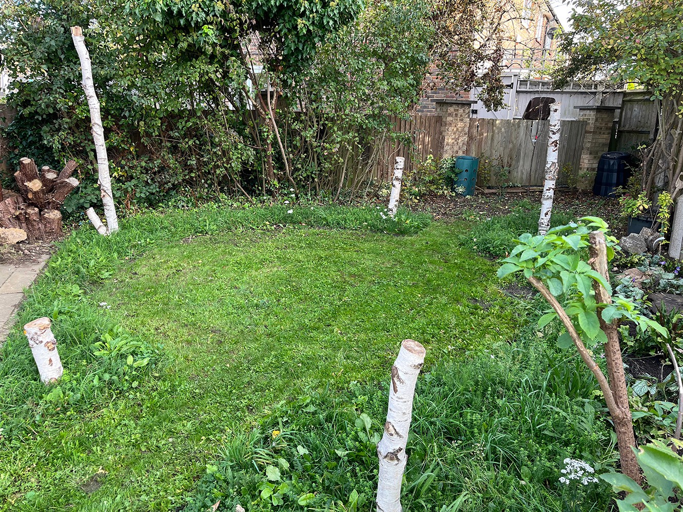 A grassy backyard with scattered plants and white poles, surrounded by greenery and garden structures.