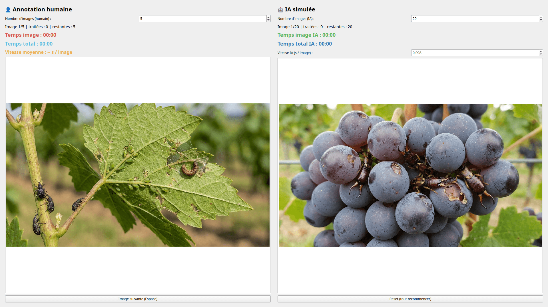 The demo interface at SITEVI 2025 — human annotation on the left, AI on the right, both at the starting point.