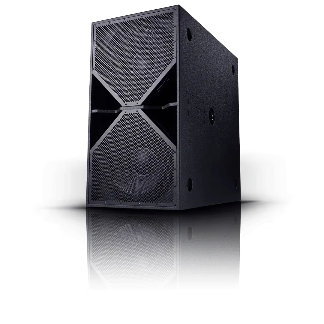 Black dual woofer speaker with a reflective surface