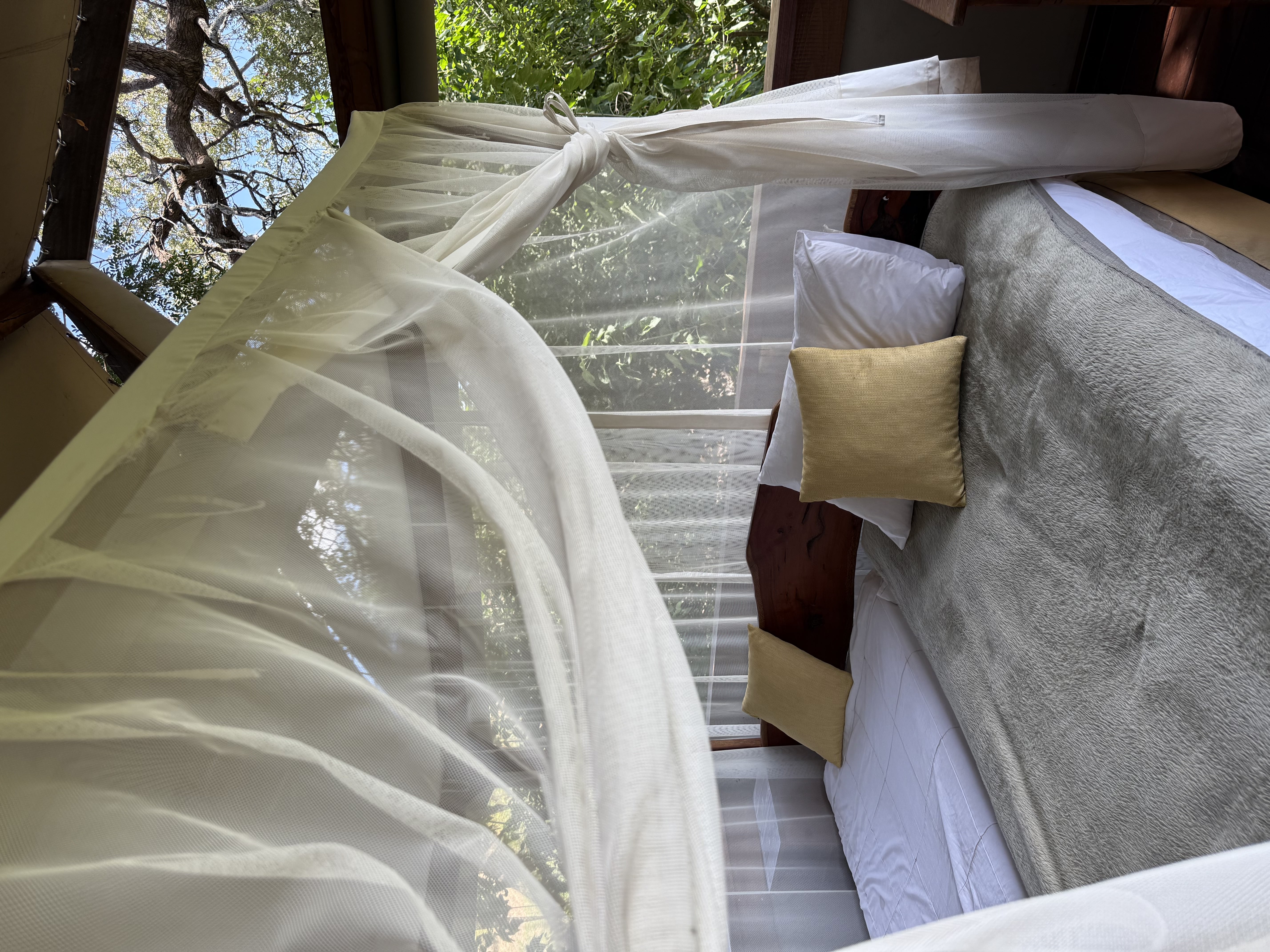 African Explorer, Botswana. Vakna till ljudet av fågelsång och solens första strålar genom myggnätet – en magisk start på dagen under din ridresa i Botswana.