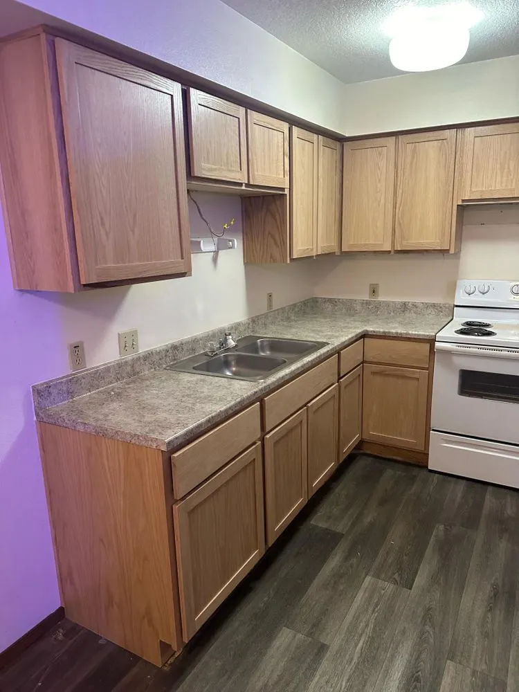 Kitchen cabinets and sink