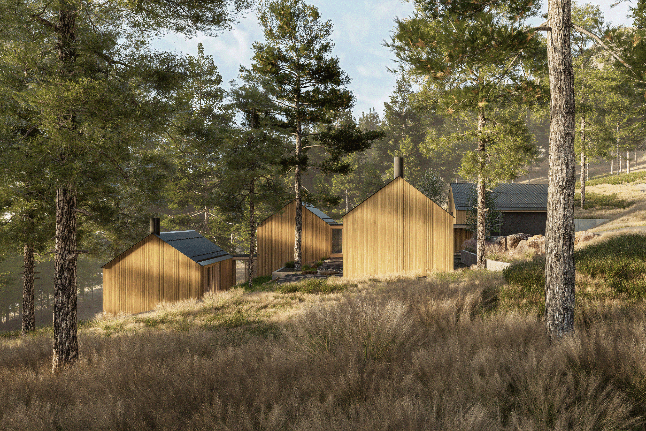 Three modern wood-clad gabled forms stepping down a pine forest hillside.