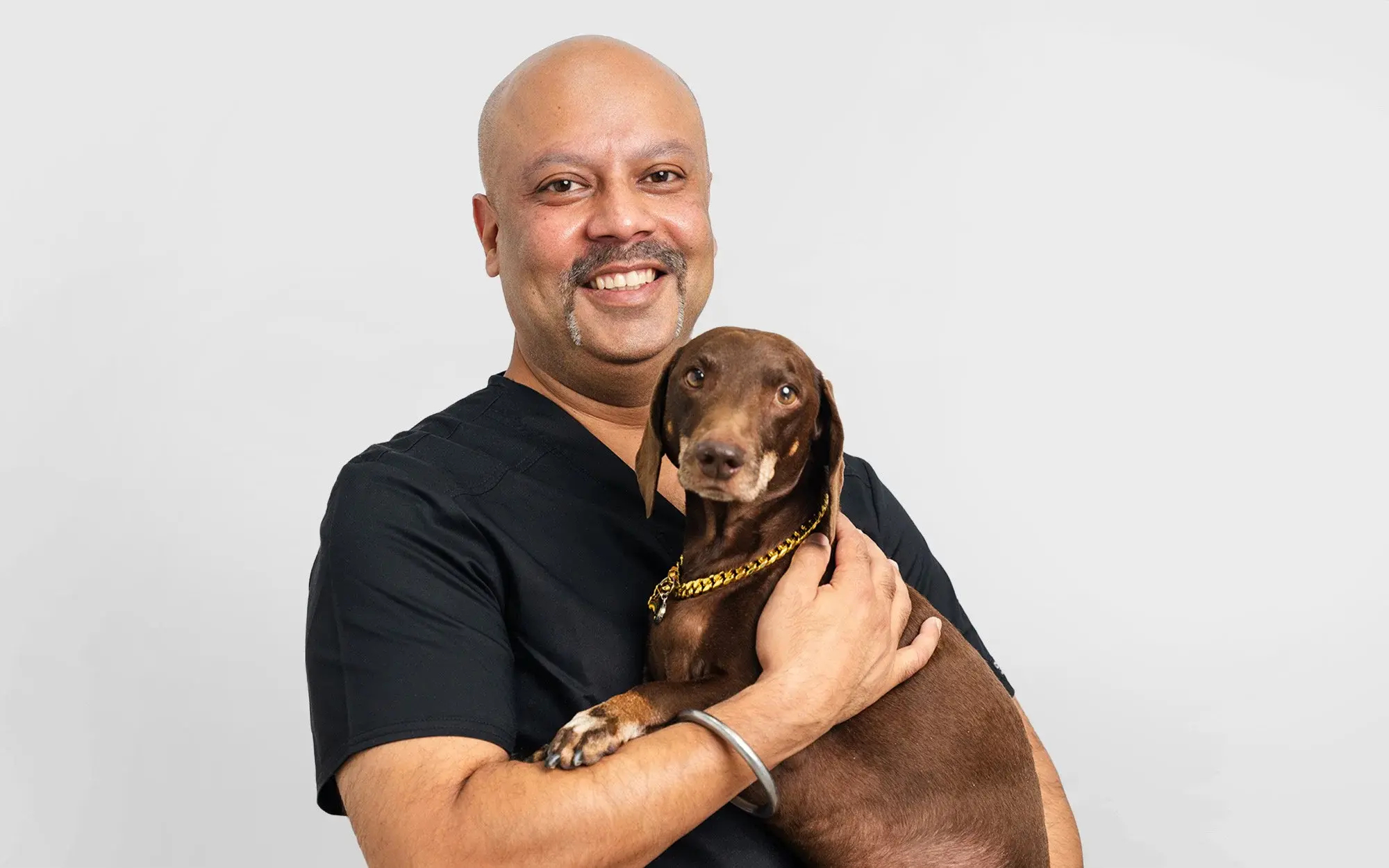 Dr. Sarabjit Singh holds a brown dachshund wearing a gold chain in our vet clinic.