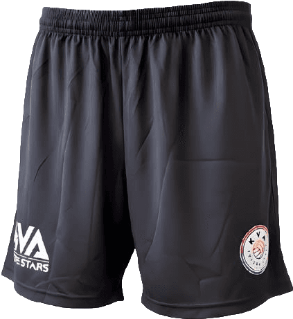 KVA SHM-01