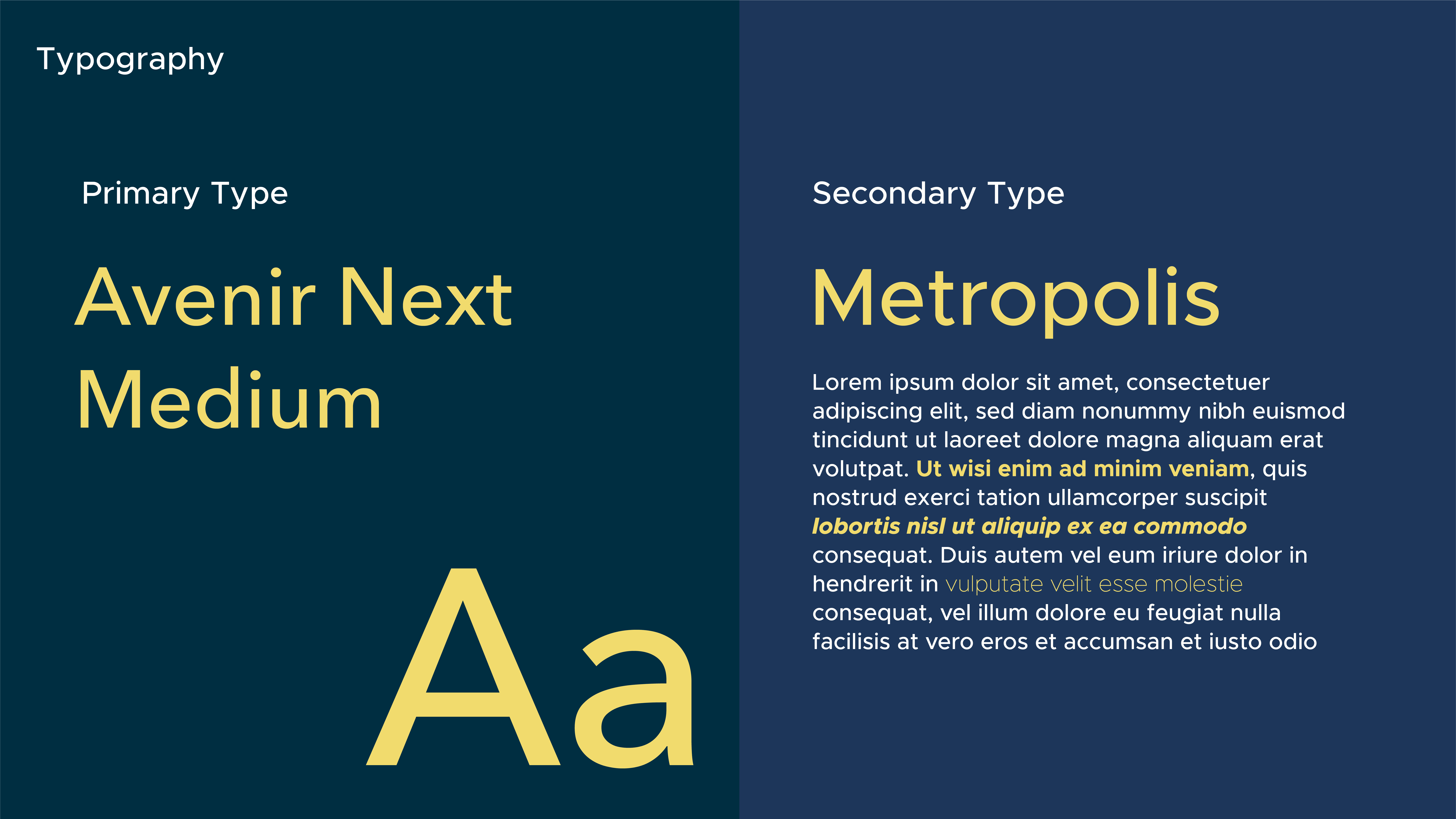 A graphic showcasing typography styles: 'Avenir Next Medium' on the left and 'Metropolis' with sample text on the right.
