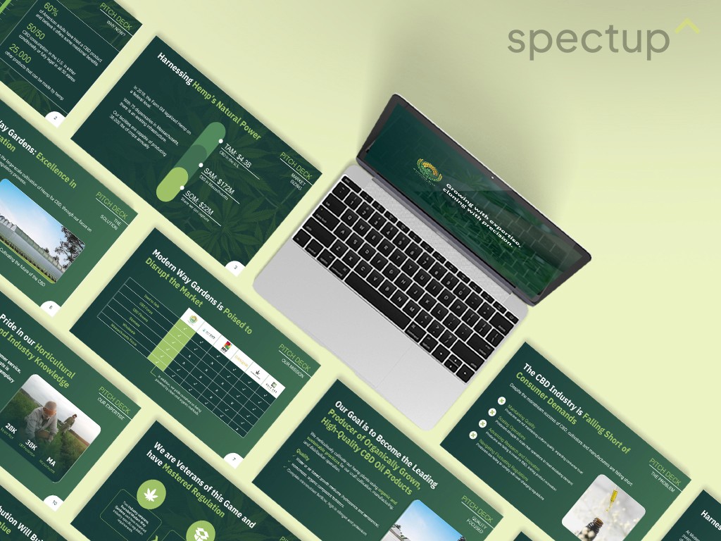 Example Pitch Deck of spectup