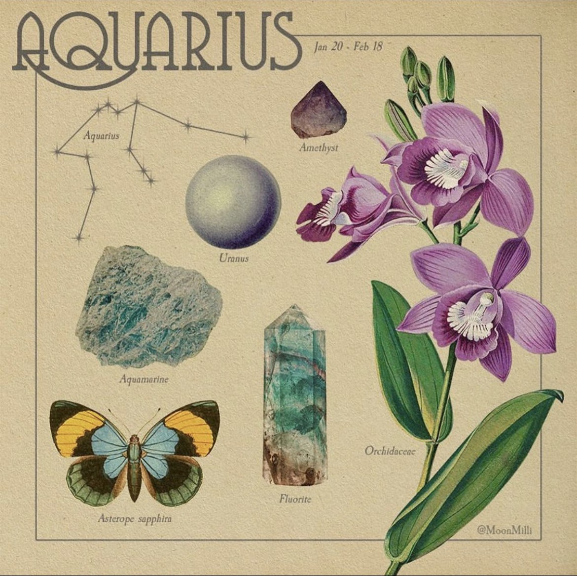 aquarius chart