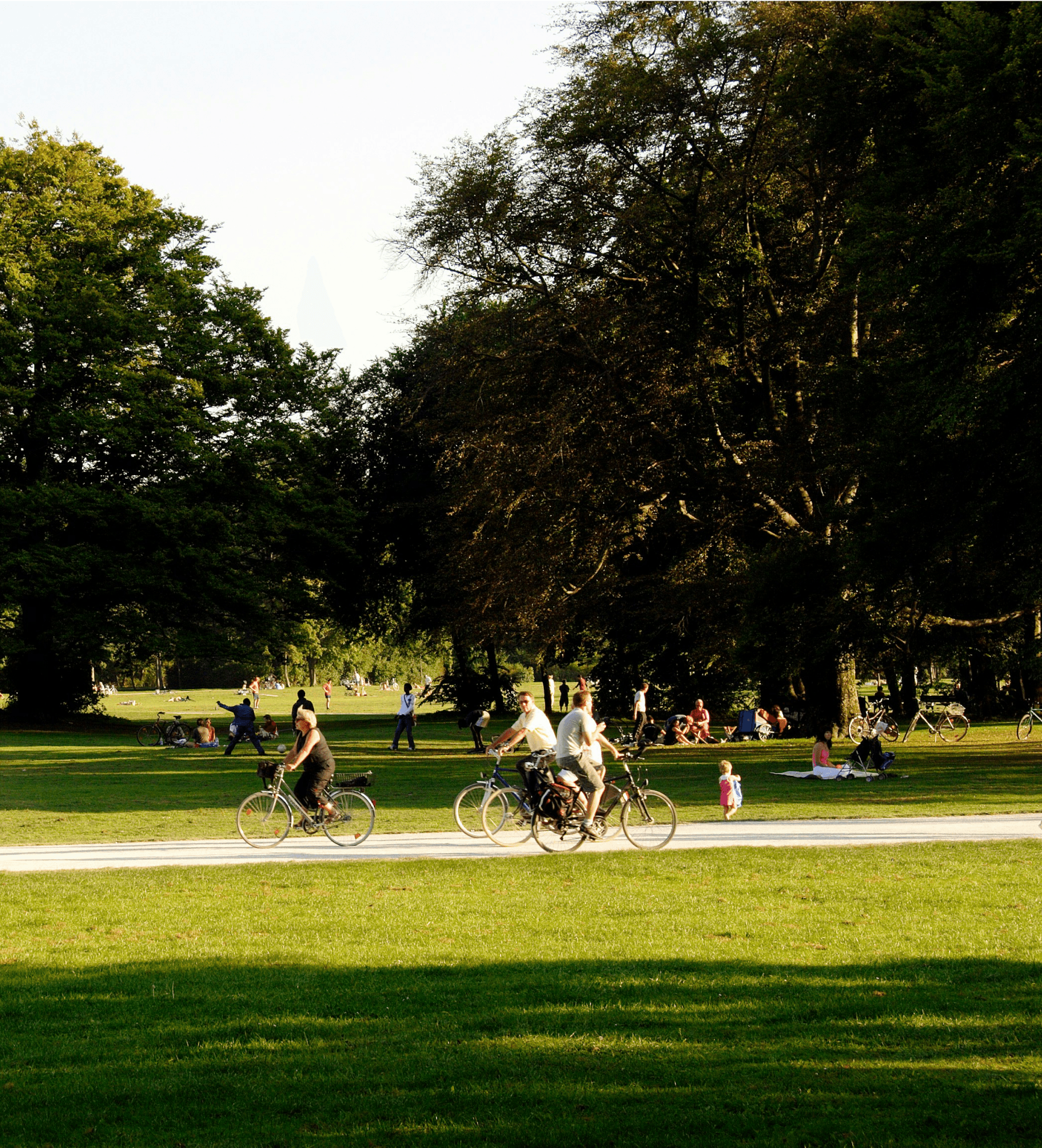 People ride bicycles along a pathway in a park, surrounded by lush green grass and tall trees.