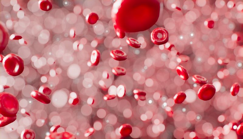 Vitamina E a protezione dei globuli rossi