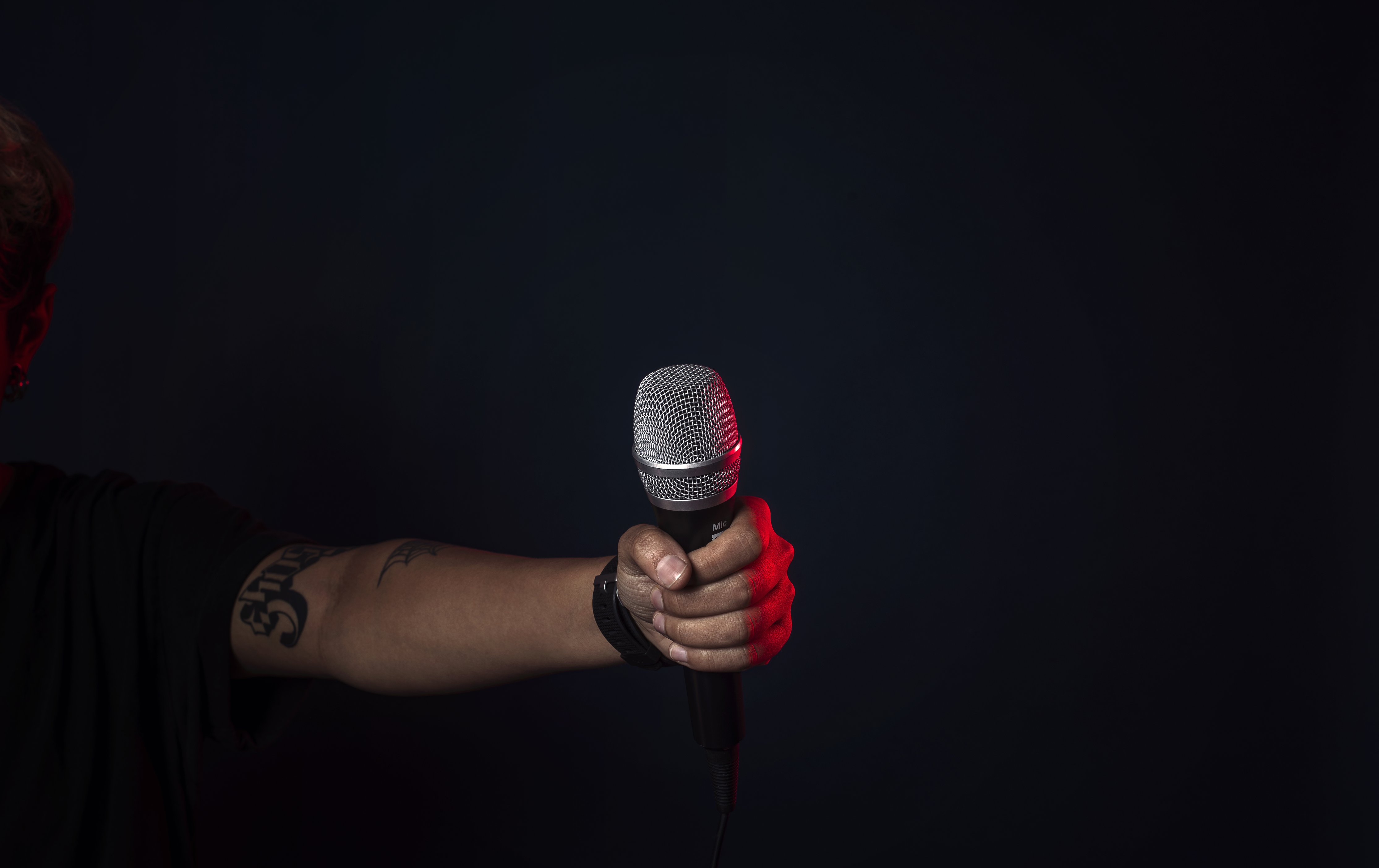 singer on stage holds mic