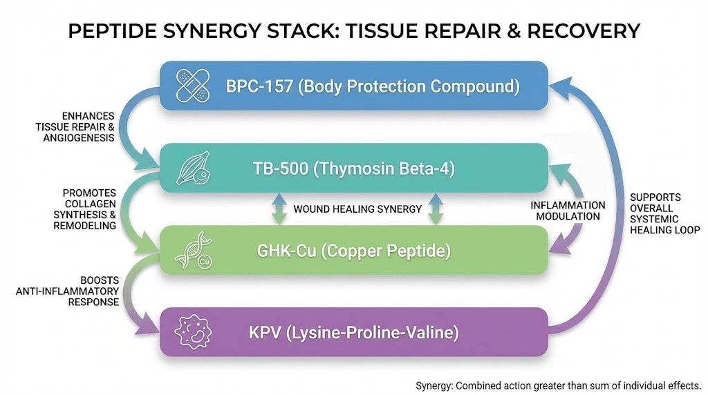 Peptide stacking diagram showing BPC-157 TB-500 GHK-Cu and KPV synergy for tissue repair