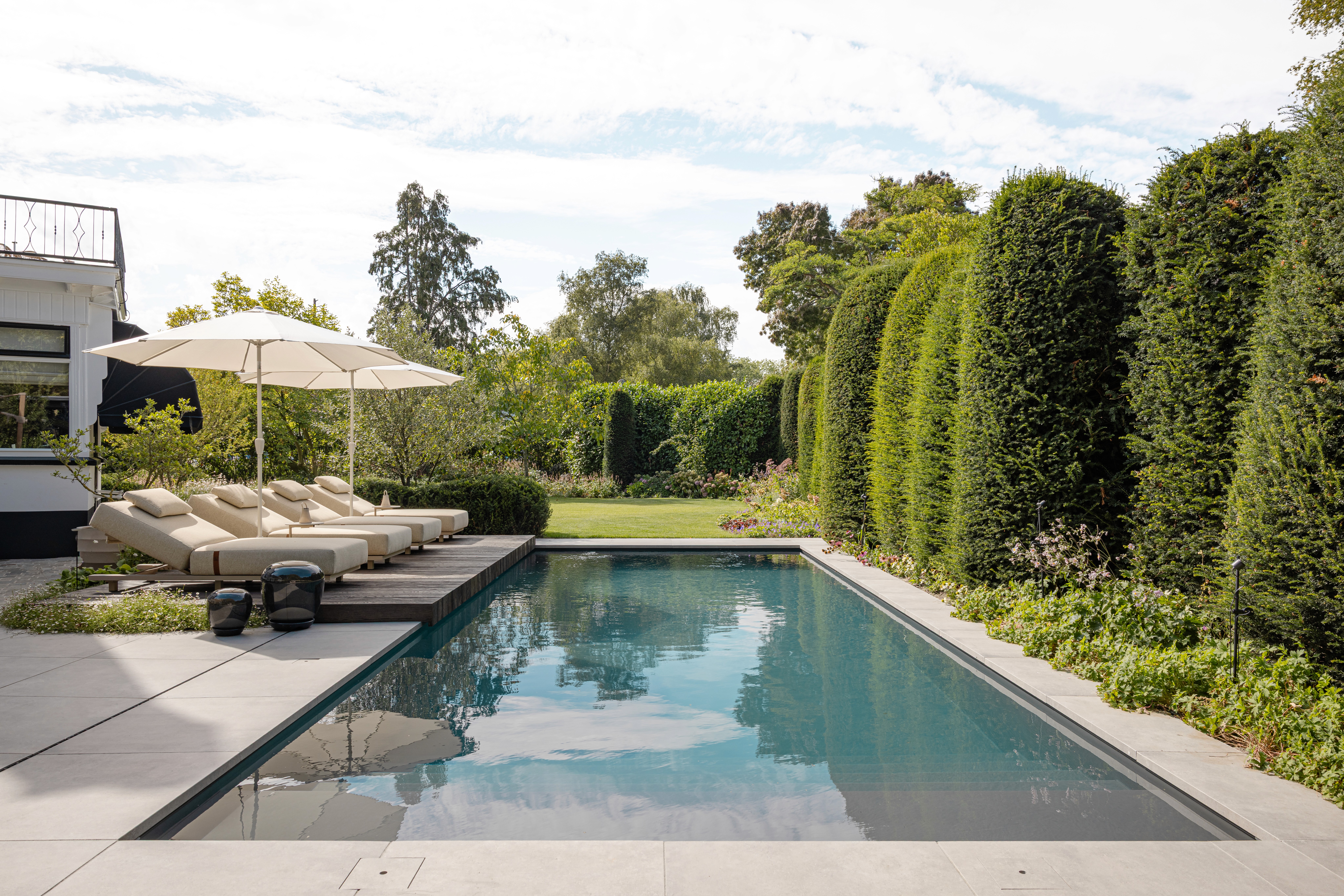 Here comes the alt text