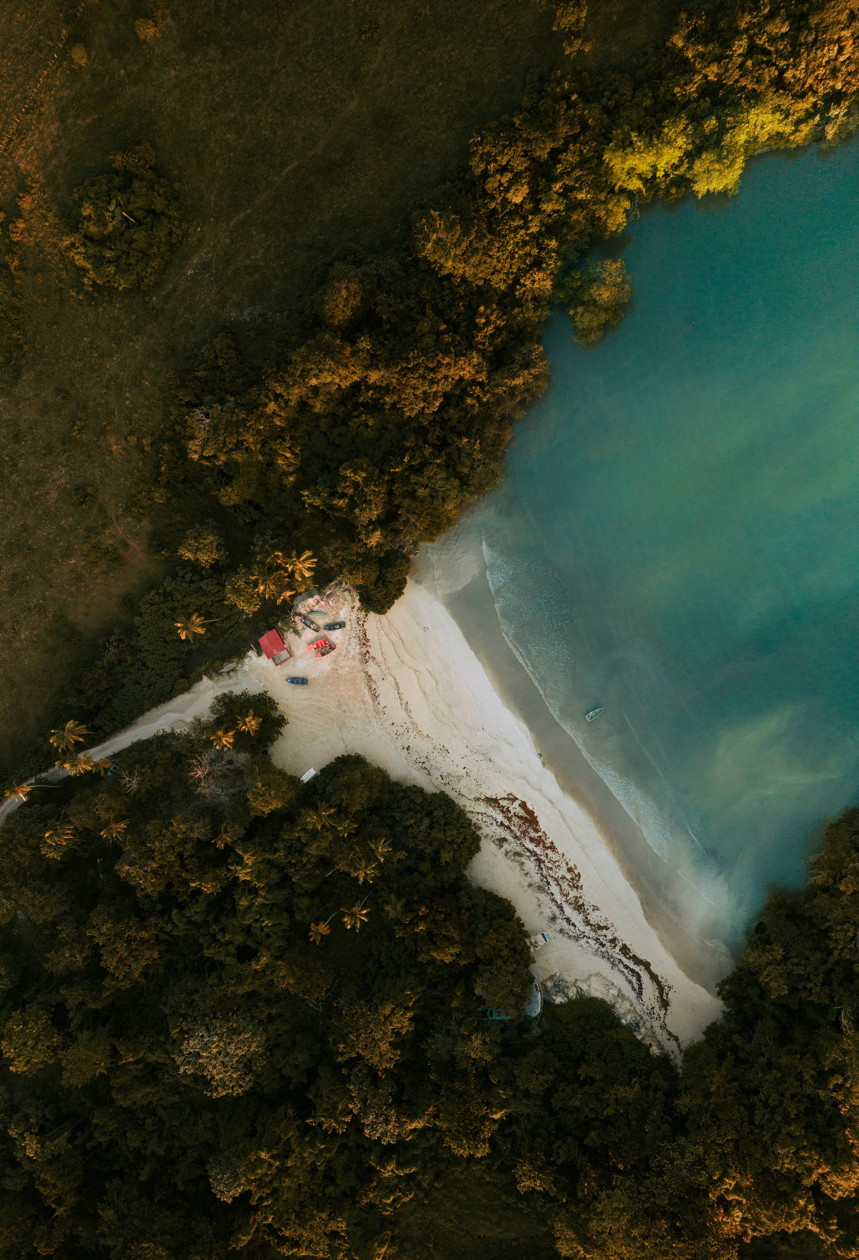 Aerial view of water surrounded by trees