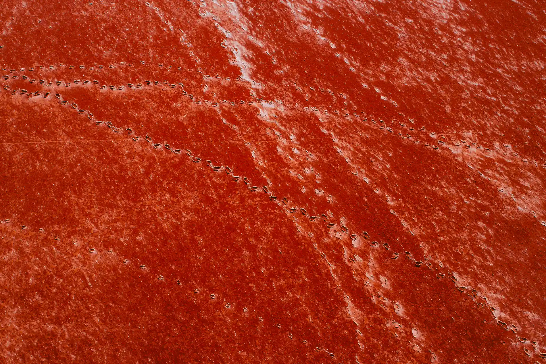 Aerial looking down on deep red desert marked by faint parallel tracks