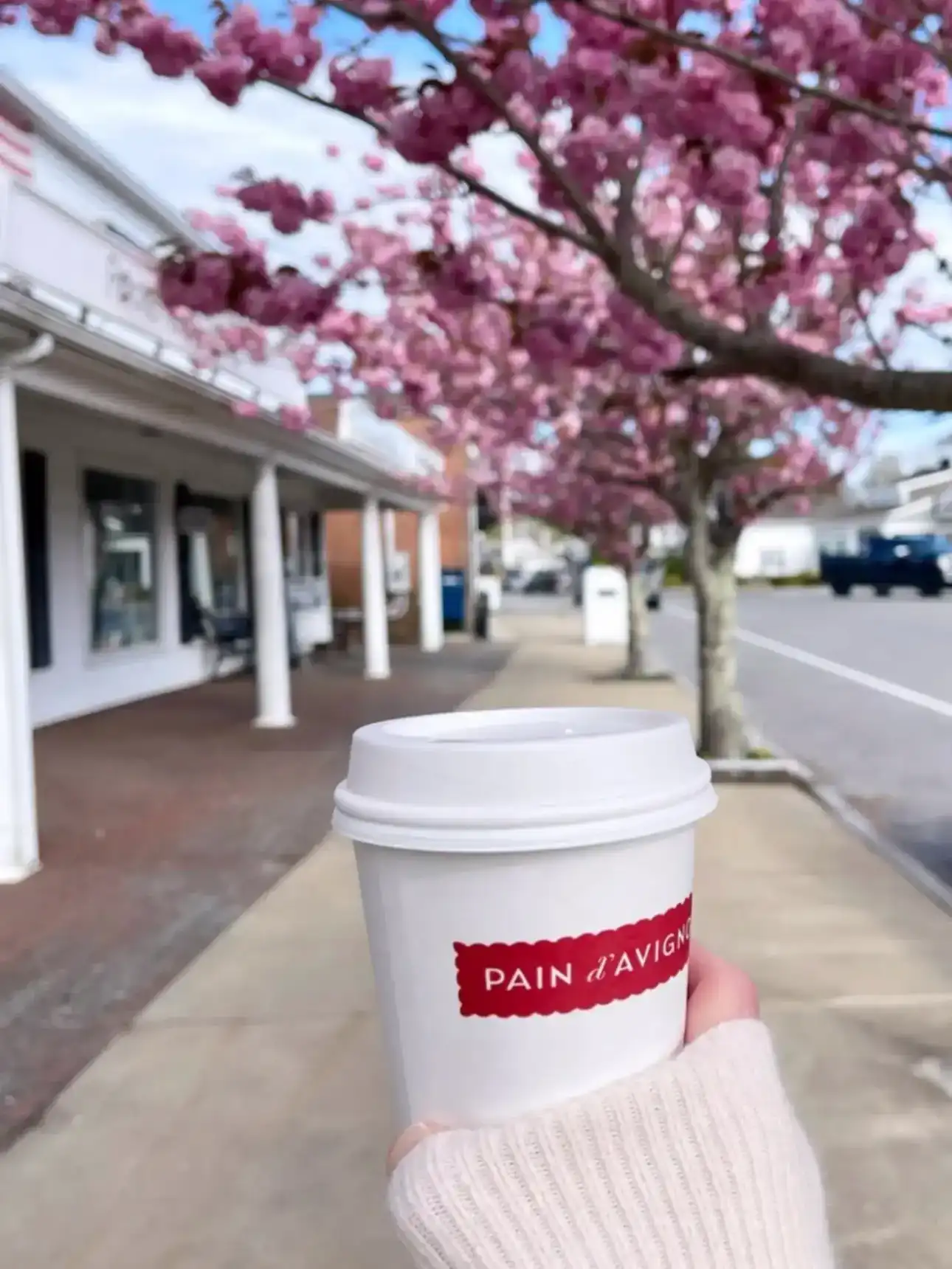 Pain D’Avignon coffee cup in front of the café storefront and blooming trees.