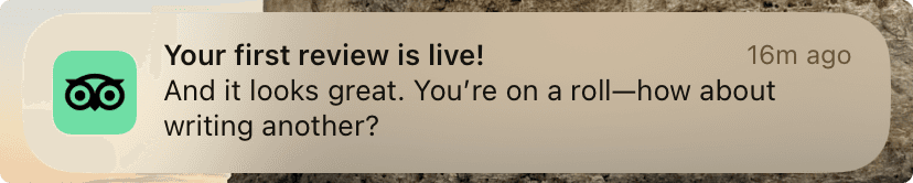 Tripadvisor push notification