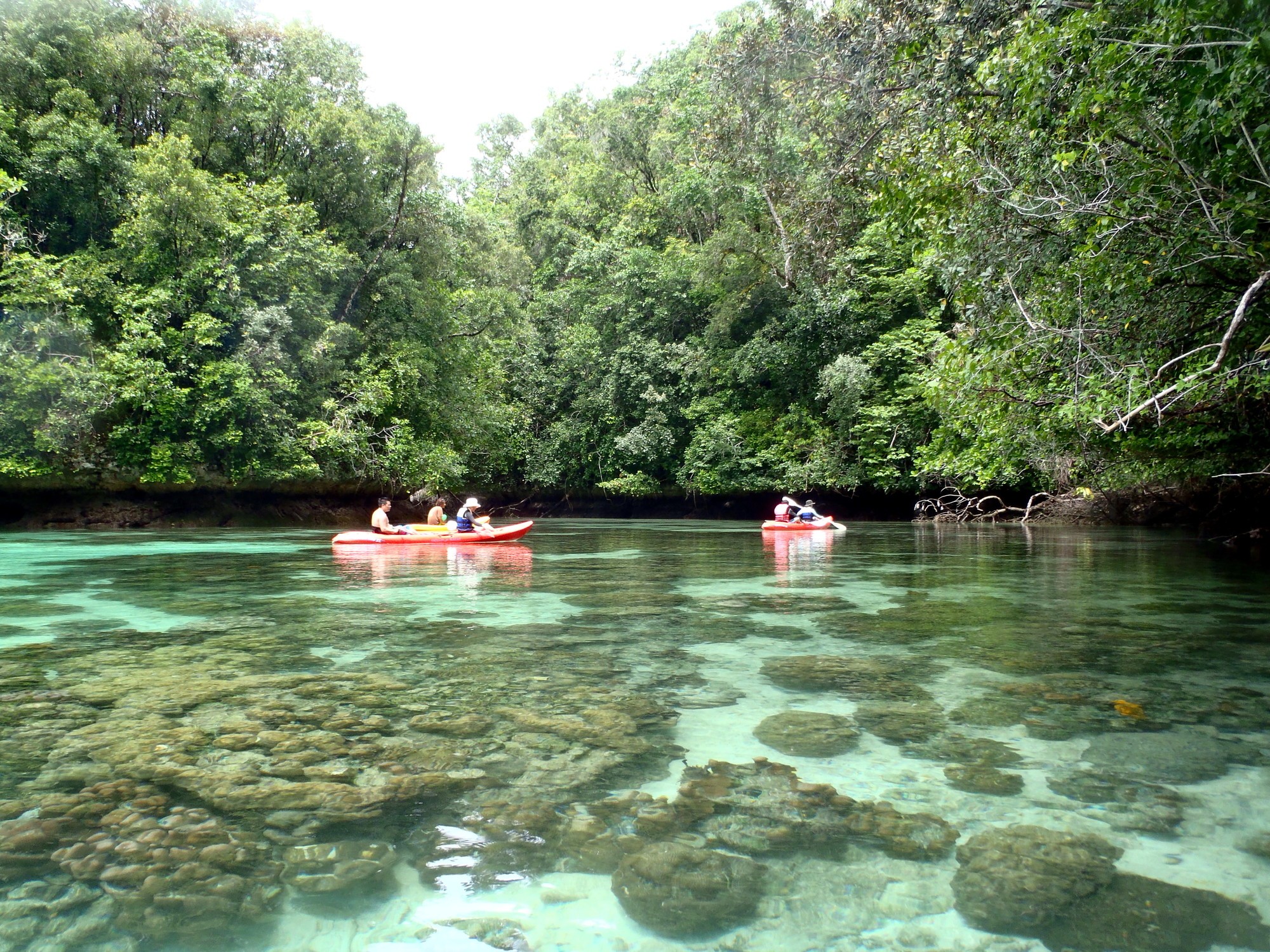 a street lined with stone buildings next to a lush green forest