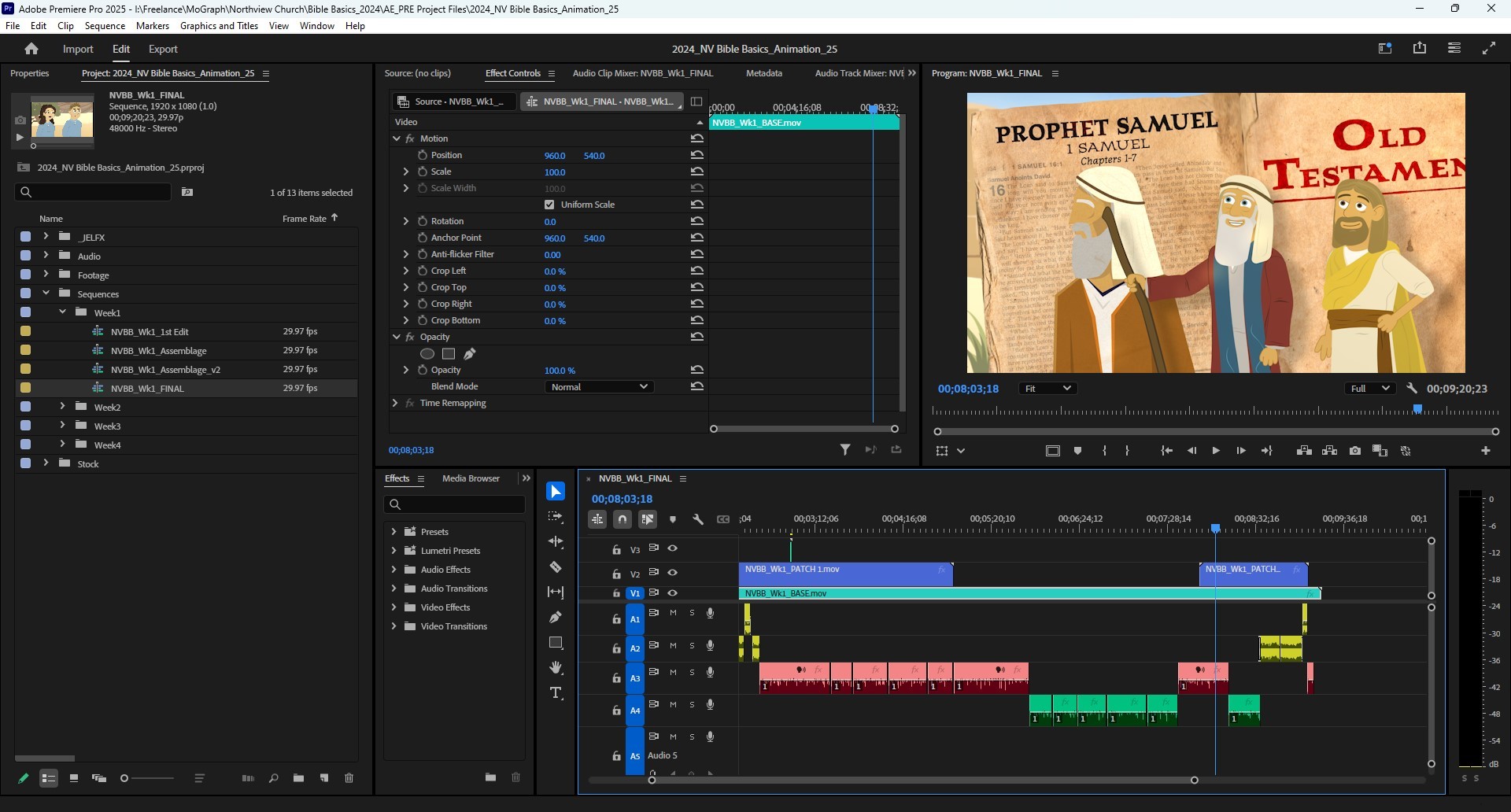 Premiere Pro