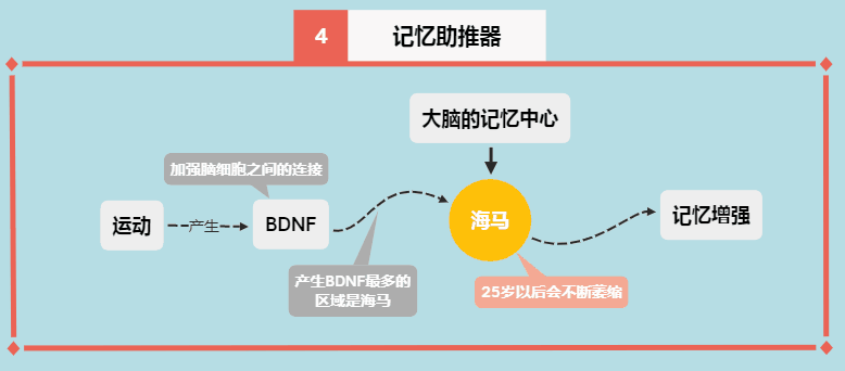 记忆辅助器示意图