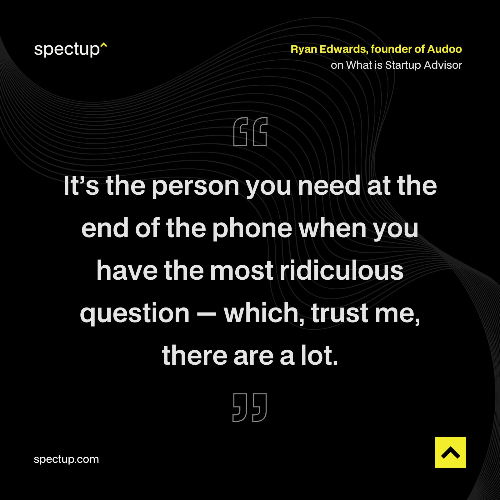 Infographic: Ryan Edwards, founder of Audoo on What is Startup Advisor